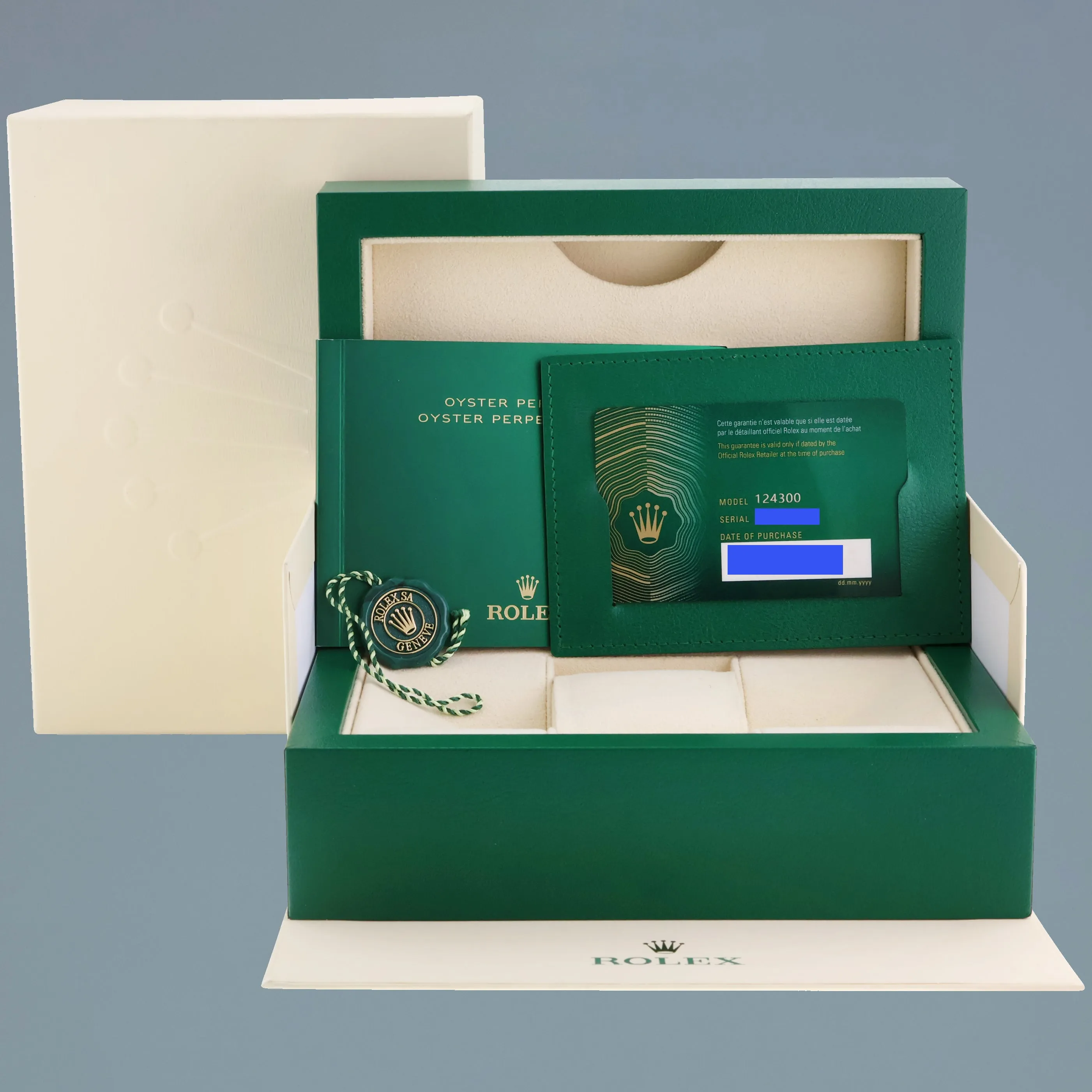2021 PAPERS Rolex Oyster Perpetual 41mm Blue Custom Tiffany Oyster 124300 Watch