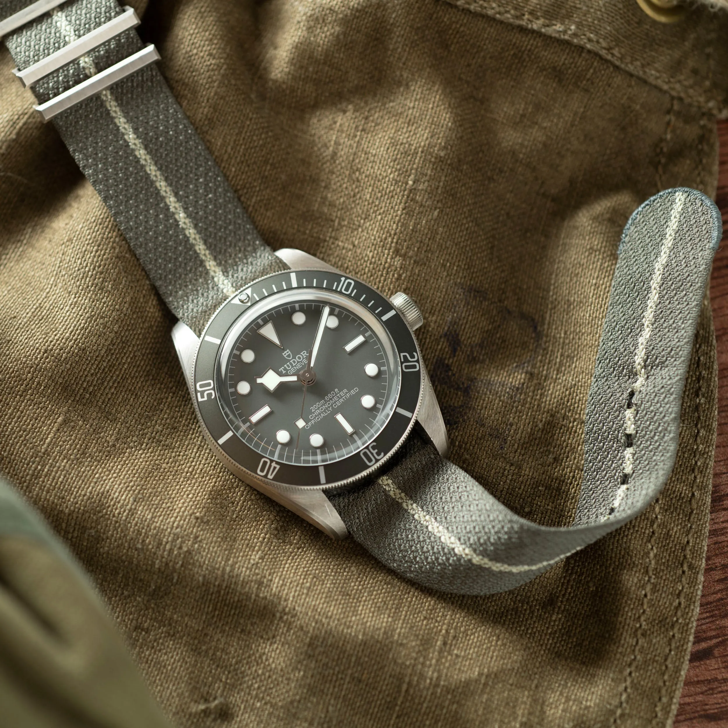 Tudor Black Bay 58 Silver