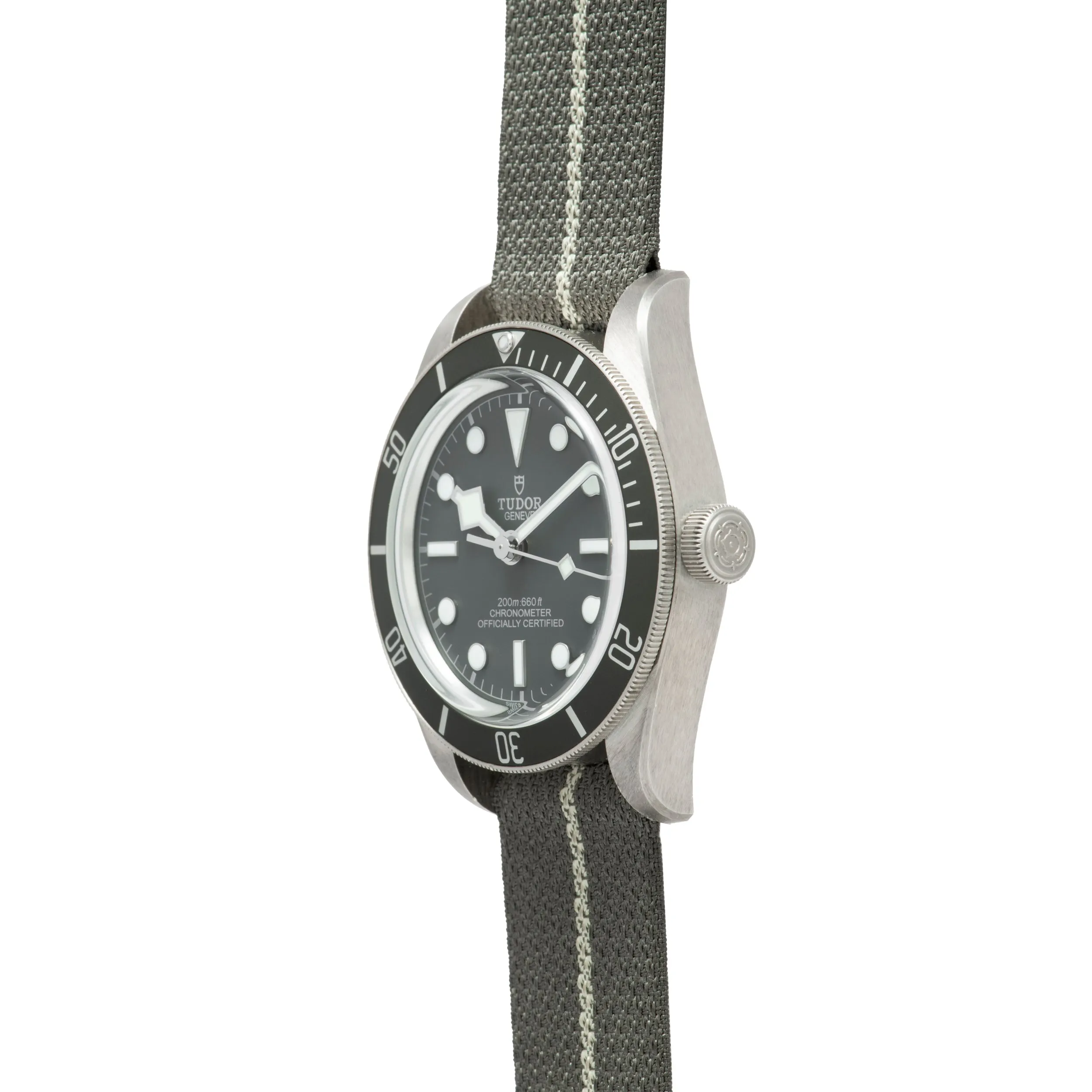 Tudor Black Bay 58 Silver
