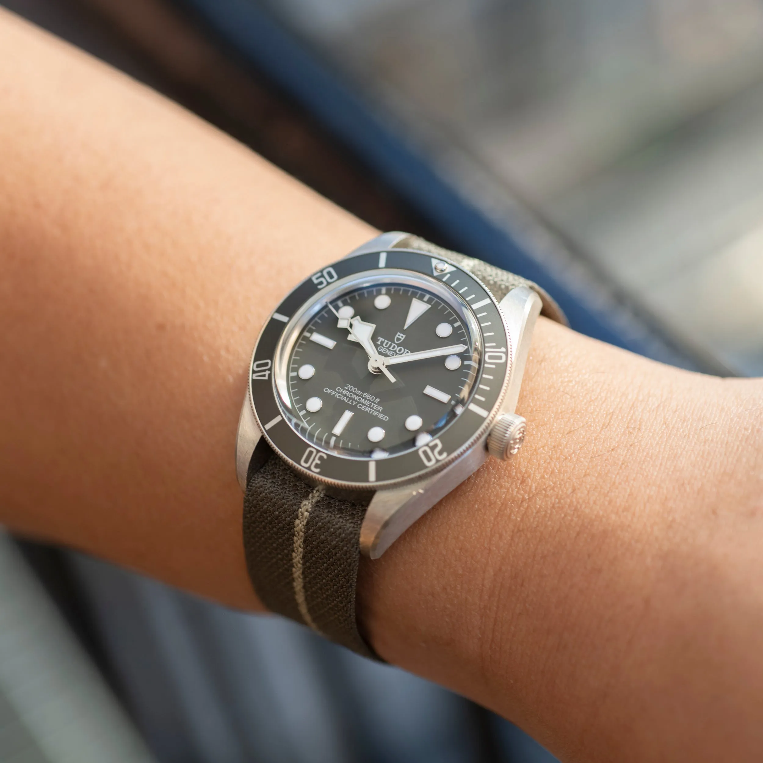 Tudor Black Bay 58 Silver