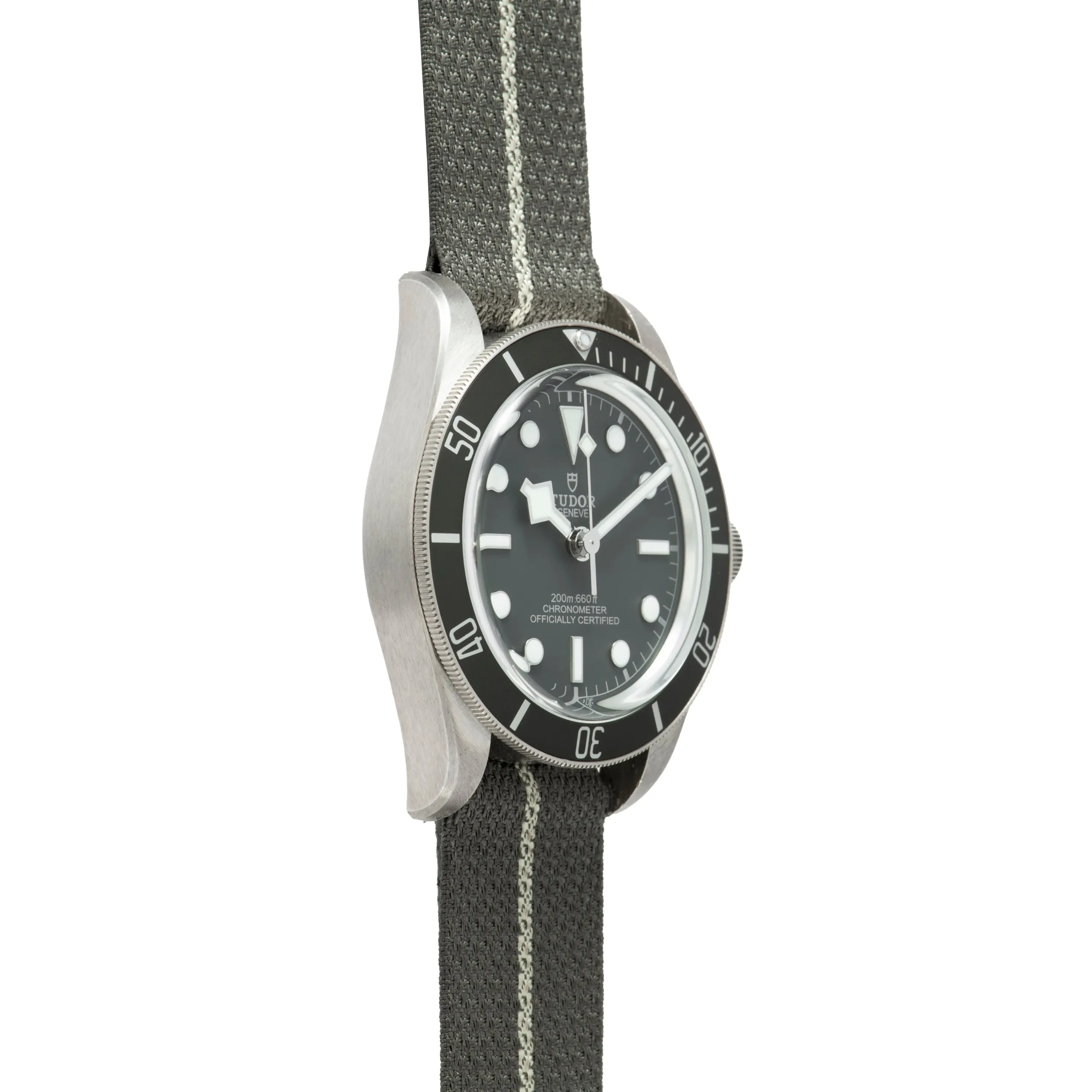 Tudor Black Bay 58 Silver